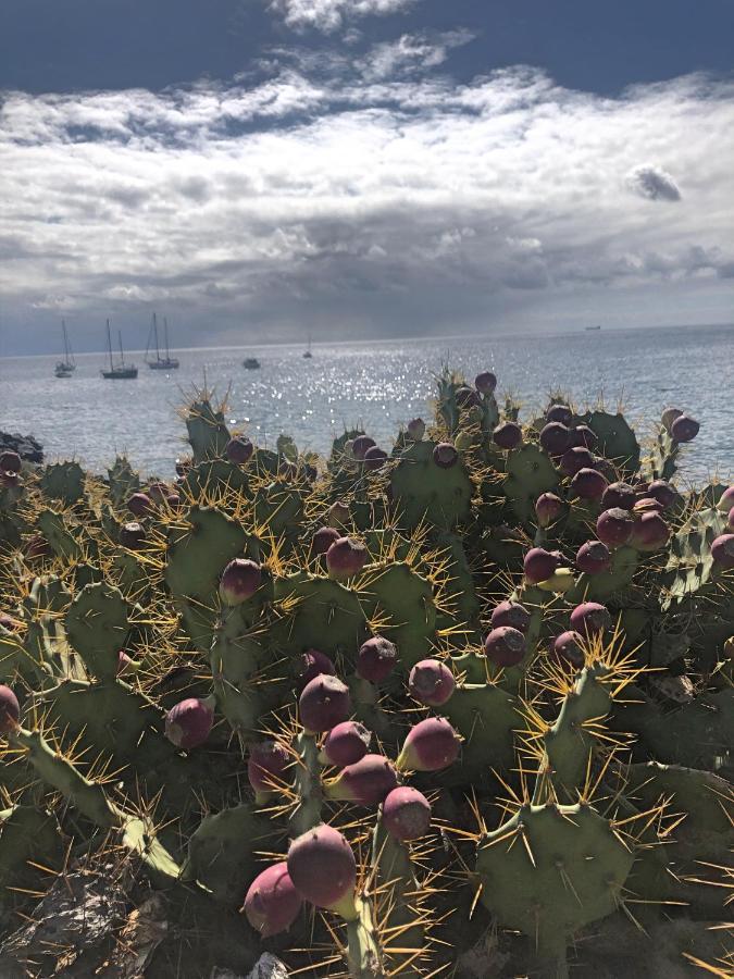 Casa Soleada Villa Arona  Eksteriør bilde